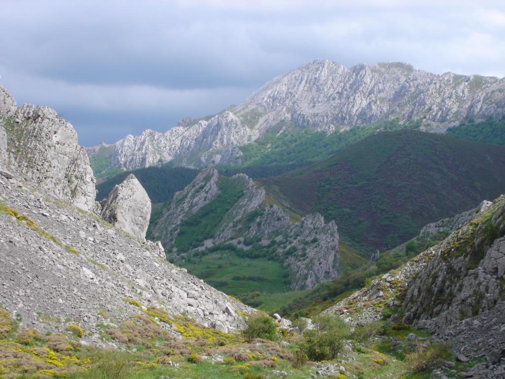 El Canto Del Gallo Ранедо-де-Куруэнио Экстерьер фото